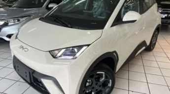 Byd Dolphin Mini Ate 150 Mil Jpg