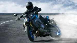 Suzuki Gsx S 1000 (5)
