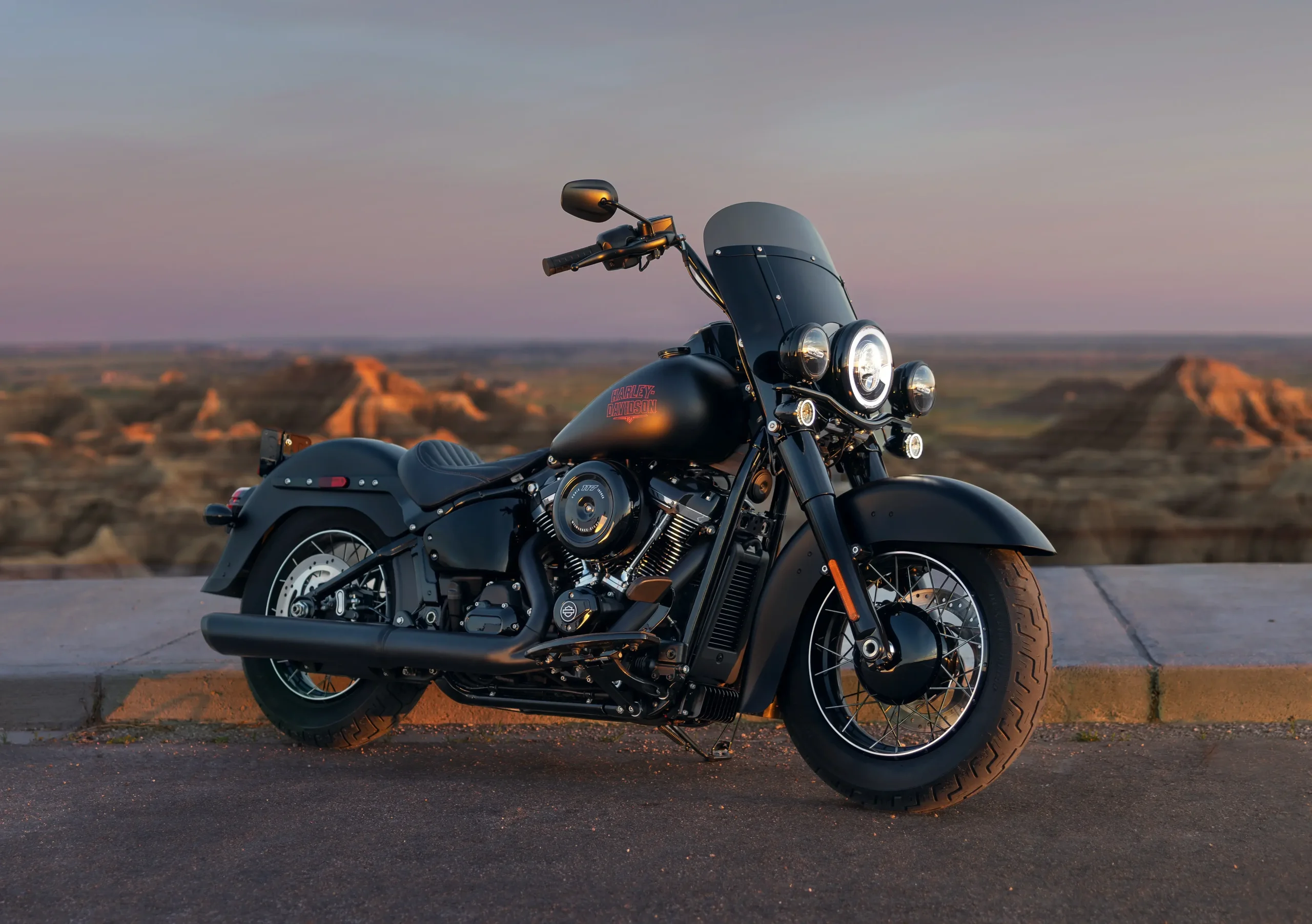 Harley Davidson Heritage Deadwood 1