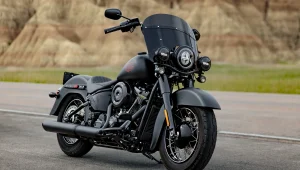 Harley Davidson Heritage Deadwood 2