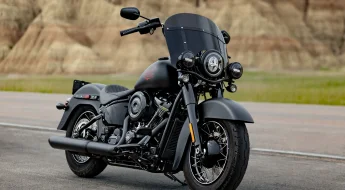 Harley Davidson Heritage Deadwood 2