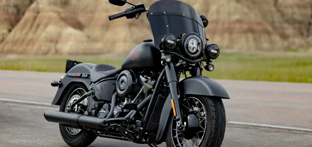 Harley Davidson Heritage Deadwood 2