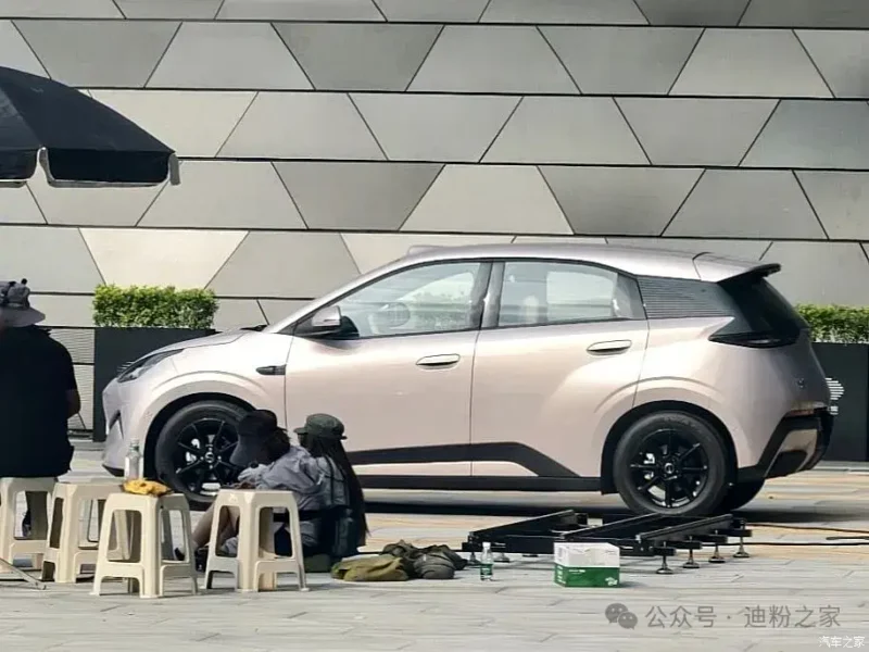 Byd Great Seagull Cnc Dolphin Mini 02